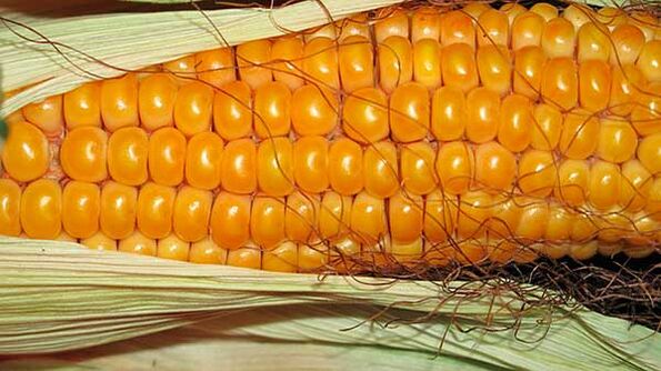 Τι δεν πρέπει να τρώτε στη δίαιτα κετο